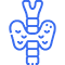 icone-endocrino-diabetologie-tunisie-bonjour-assistance-medicale